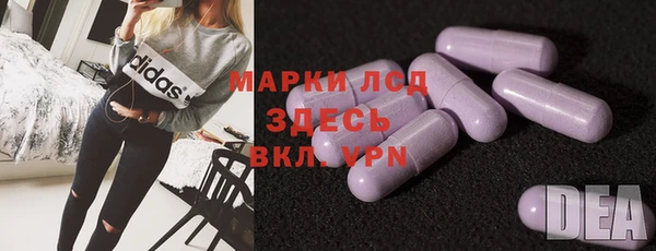 гашик Новозыбков