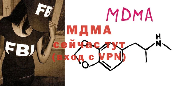 шишки Няндома