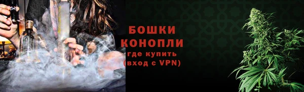 шишки Няндома