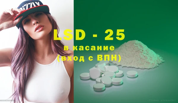 гашик Новозыбков