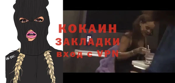 гашик Новозыбков