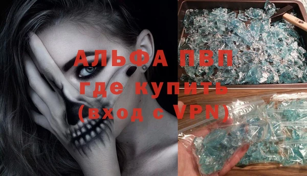 гашик Новозыбков