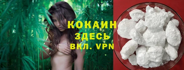 гашик Новозыбков