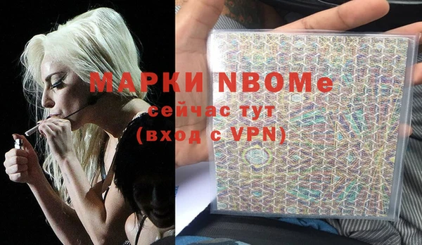 гашик Новозыбков