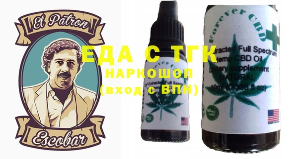 шишки Няндома