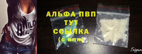 прущие крисы Новокубанск