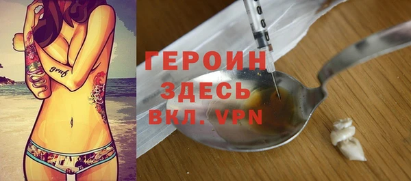 шишки Няндома