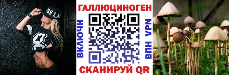 продажа наркотиков Павлово Псилоцибиновые грибы мицелий