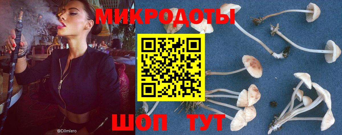 Галлюциногенные грибы Psilocybe  Вход с VPN  Павлово  Галлюциногенные грибы GOLDEN TEACHER 